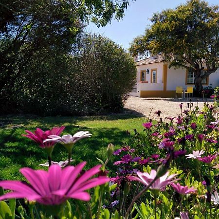 Casas Das Amoreiras Aldeia do Meco Dış mekan fotoğraf