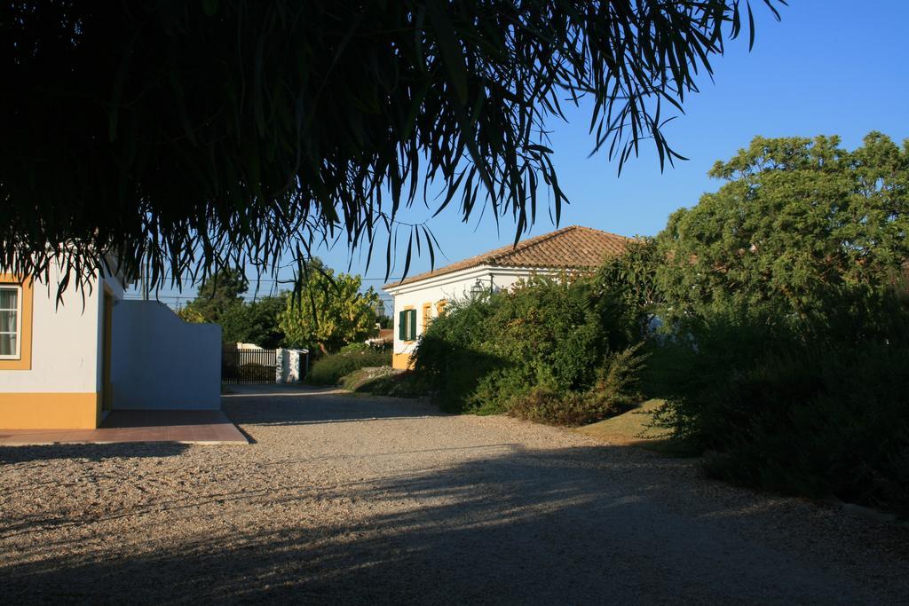 Casas Das Amoreiras Aldeia do Meco Oda fotoğraf